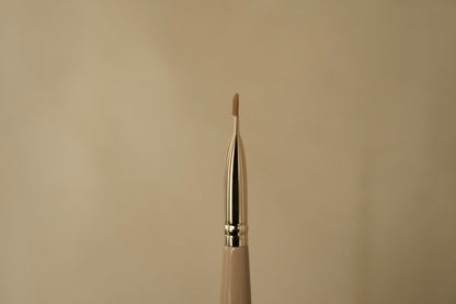 PRO Angled Brush